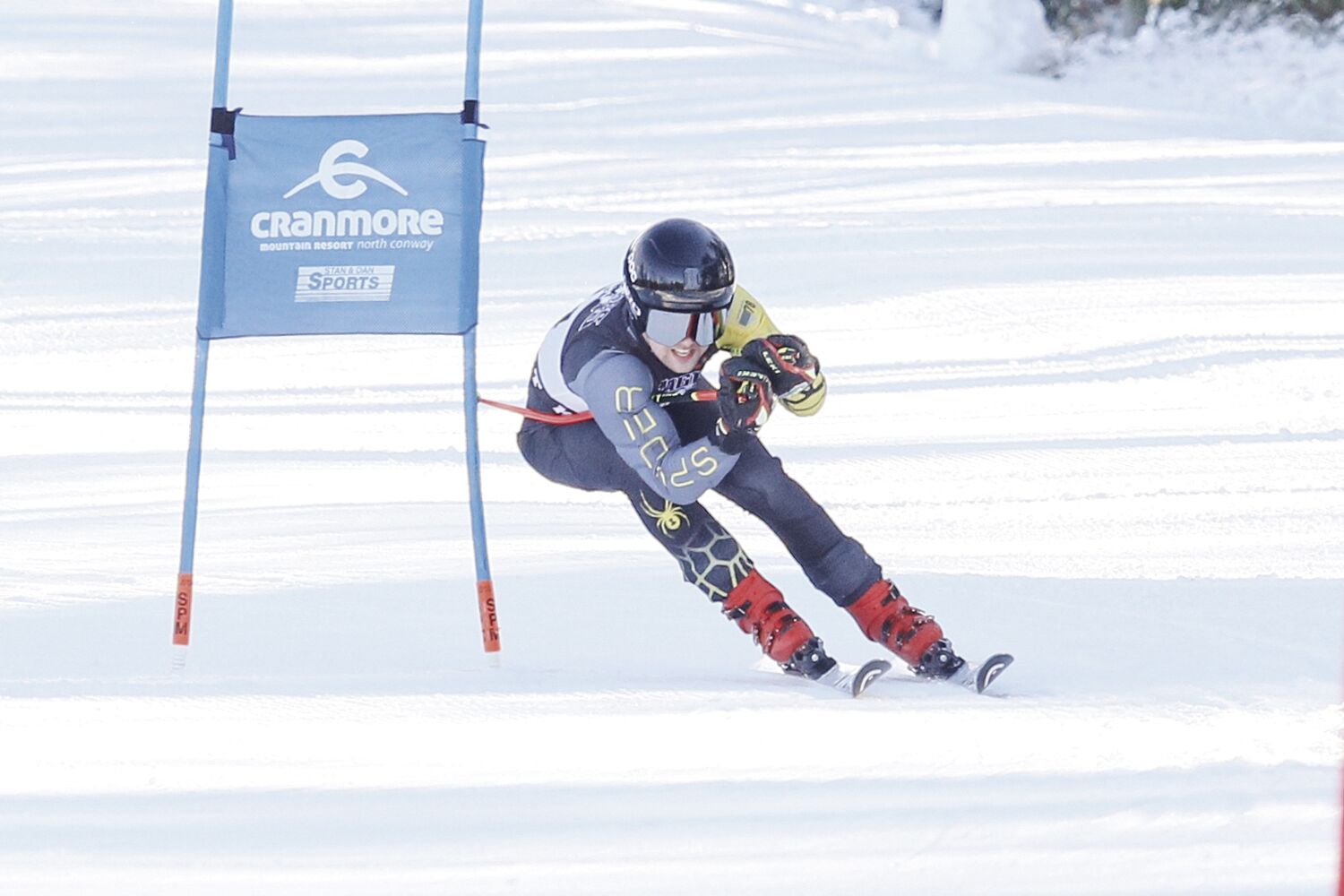 Kennett Alpine dominates at home